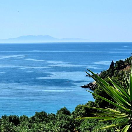 Enjoy Lichnos Bay Village, Camping, Hotel And Apartments Parga Bagian luar foto